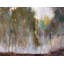 Mist In The Forest Nala Print by John Beard-631777092-631777149