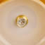 Glass Semi Flush Mount-595763386