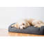 Touger - rose cendré (confortable) - très grand (45 x 35 x 10)-130822134-130822138
