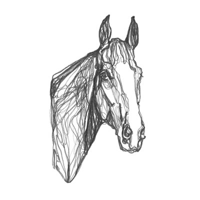 Equine Contour I