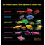 Ensemble d'aquarium de 10 gallons avec éclairage à DEL et décor (exclusivité Amazon)