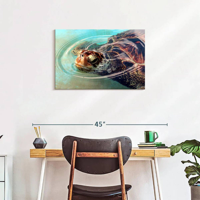 Tortue Brampt, H 20 po x l 30 po