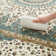 Allyne Area Rug