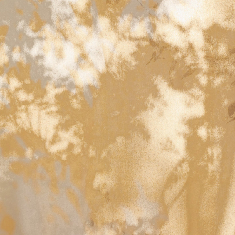 Dreams & Responsibility By Fountain Grass Studios, H 40" x W 30"