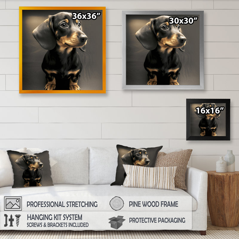 " Cute Daschund Portrait ", 36" H x 36" W x 1.5" D, Black Picture Framed Canvas