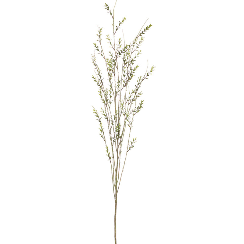Leaf Arrangement