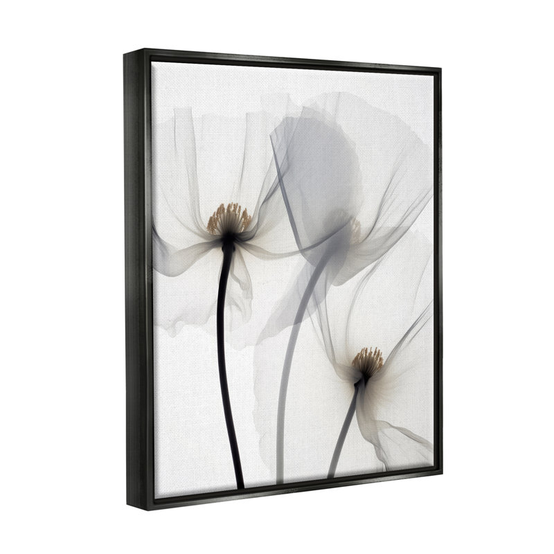 Coquelicots blancs modernes sur toile, Cadre flottant noir de jais, H 31 po x l 25 po x P 1,7 po