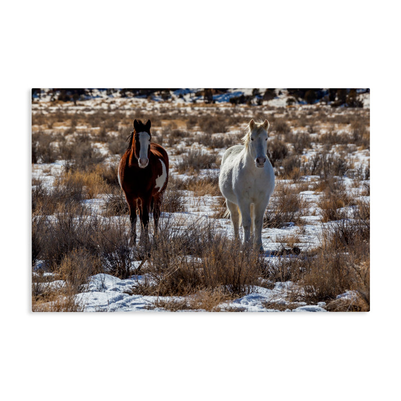 «Arches Horse paire in Snow Canvas», conception par Jeff Poe, H 16 po x l 24 po