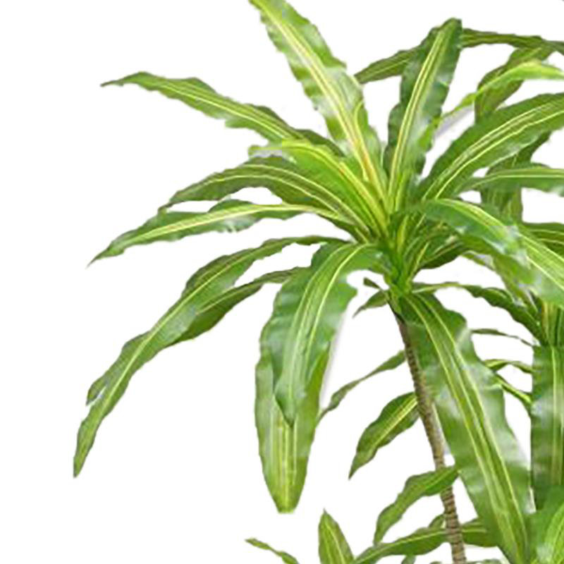 Annistyn 180cm Faux Dracaena Tree in Pot