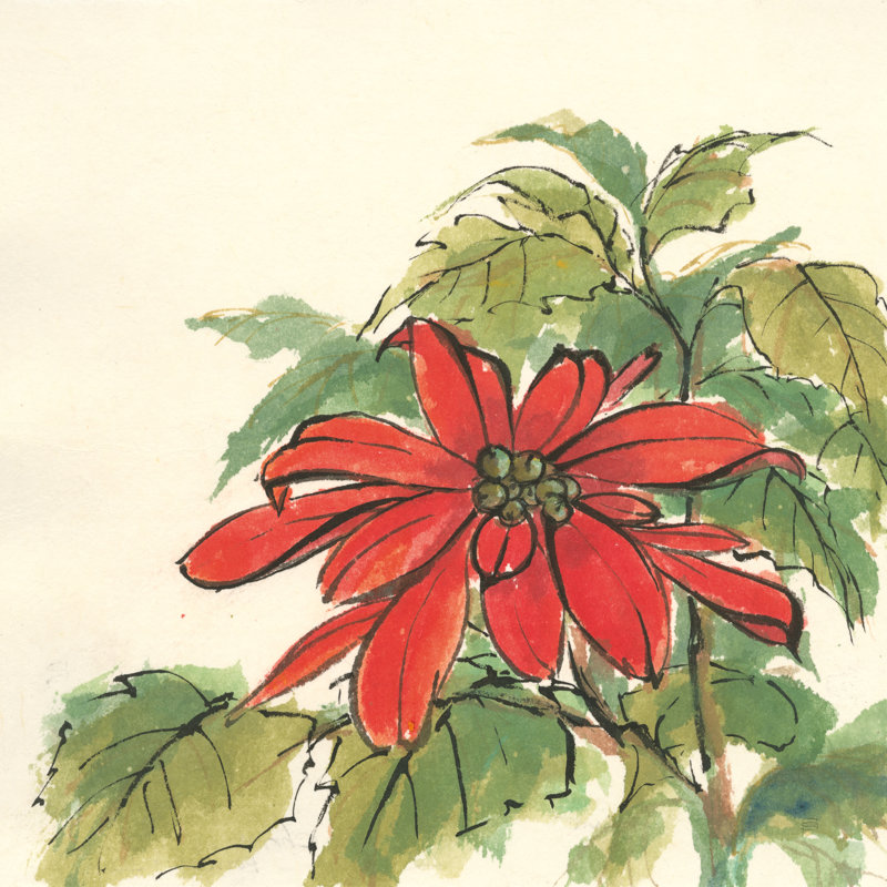 Poinsettia I par Chris Paschke - Peinture, Papier avec cadre simple argenté, Oui, H 20 po x l 20 po x P 1,25 po