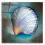 «Clam Shell Glow» par Louise Montillio-226816335