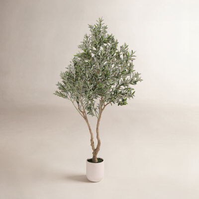 Ashwell Artificial Olive Tree with White Pot