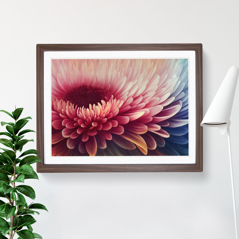 Chrysanthemum Flower Vol.3 - Framed Print, 34cm H x 46cm W x 2cm D, Walnut Framed