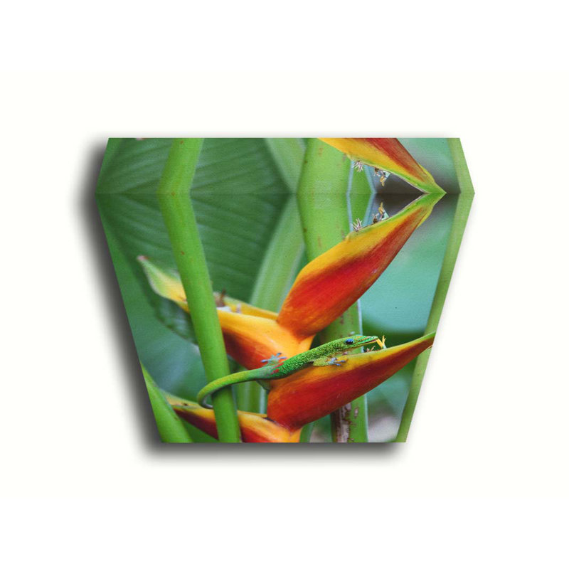 Maui Gecko par Kelly Wade. Estampe numérique, H 30 po x l 45 po x P 1,5 po, Toile tendue