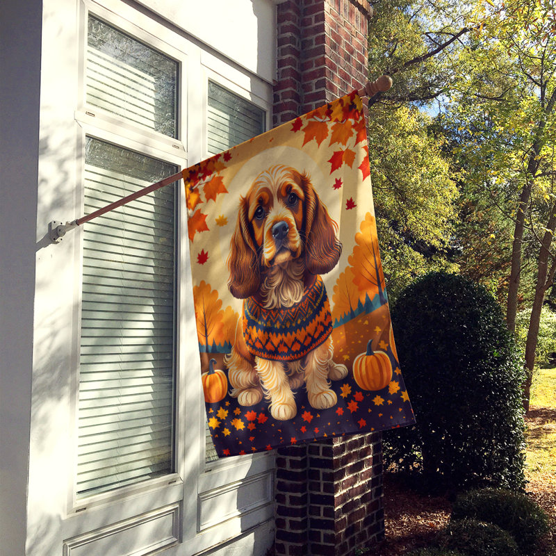 Double Sided 40'' H x 28'' W Polyester House Flag