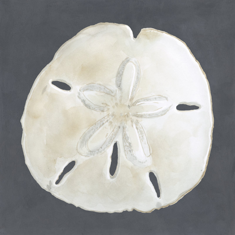 Shell On Slate II by Megan Meagher - Wrapped Canvas Painting, 30cm H x 30cm W x 3.8cm D