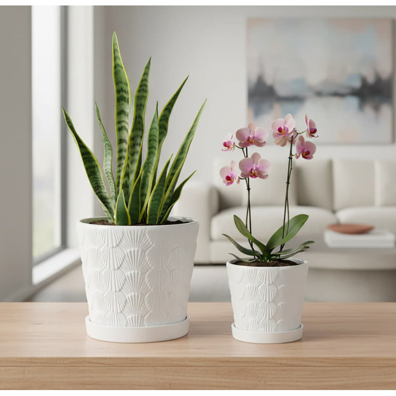2-Piece White Ceramic Plant Pots (5+6 Inch, Drainage & Tray), White