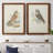 " Hawk Owl " 2 - Pieces-747655249-747655244