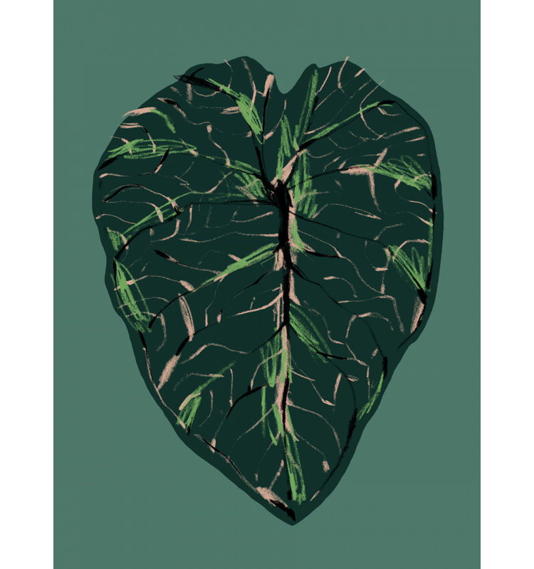 Wrapped Canvas Print, 76.2 cm H x 50.8 cm W, Green