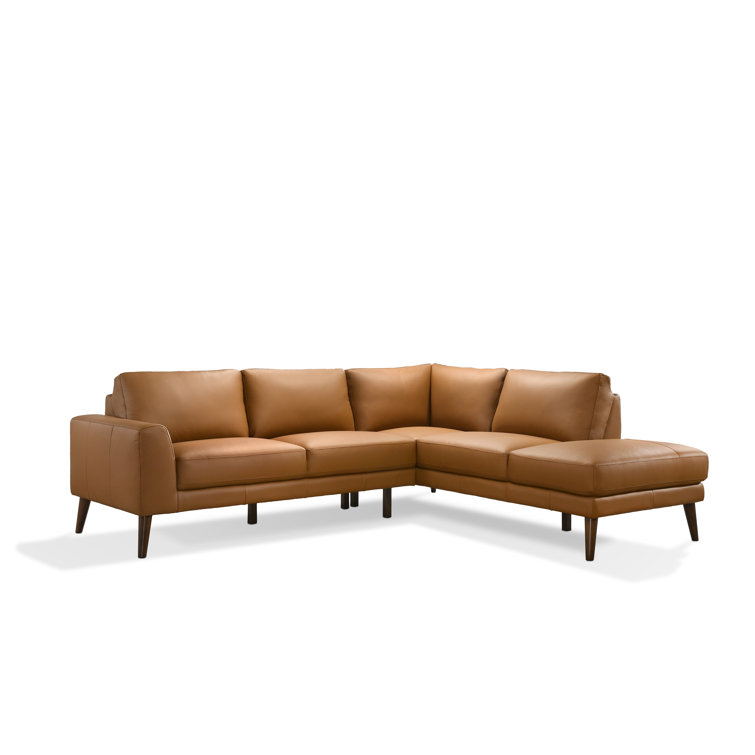 Dekalb Leather 2-Piece Chaise Sectional (102)