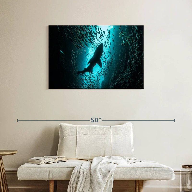 Brampt Shark Depth, 24" H x 36" W