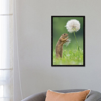 Ziesel with a Very Big Dandelion I 1 Piece Wall Art on Canvas