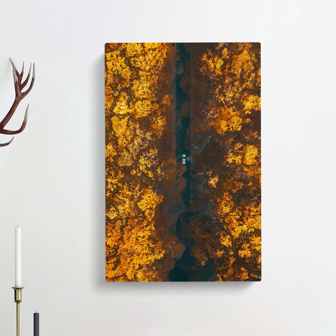 Driving Through a Forest in Hungary in Abstract - Wrapped Canvas