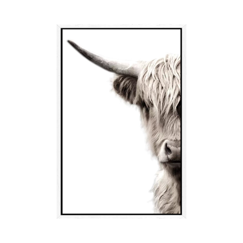 Highland Cattle by Danita Delimont - Print on Canvas, 66.04 cm H x 45.72 cm W, White Framed Canvas