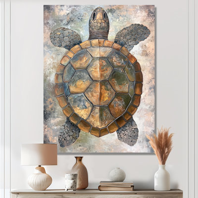 Vintage Turtle Shell - Turtle Wall Art Print