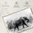 Brampt African Elephant In Botswana-107684307