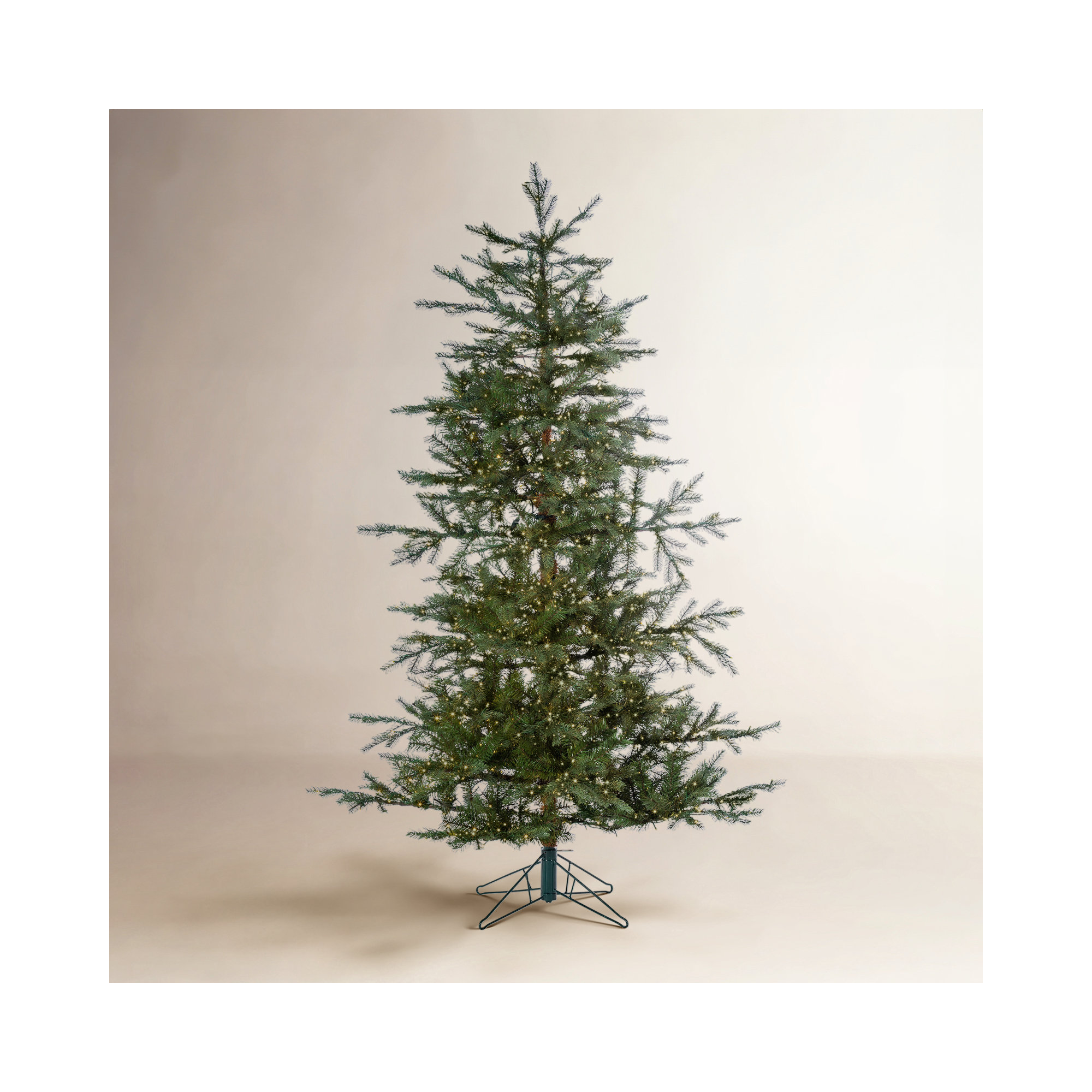 Haileyrose 60' Lighted Pine Christmas Tree