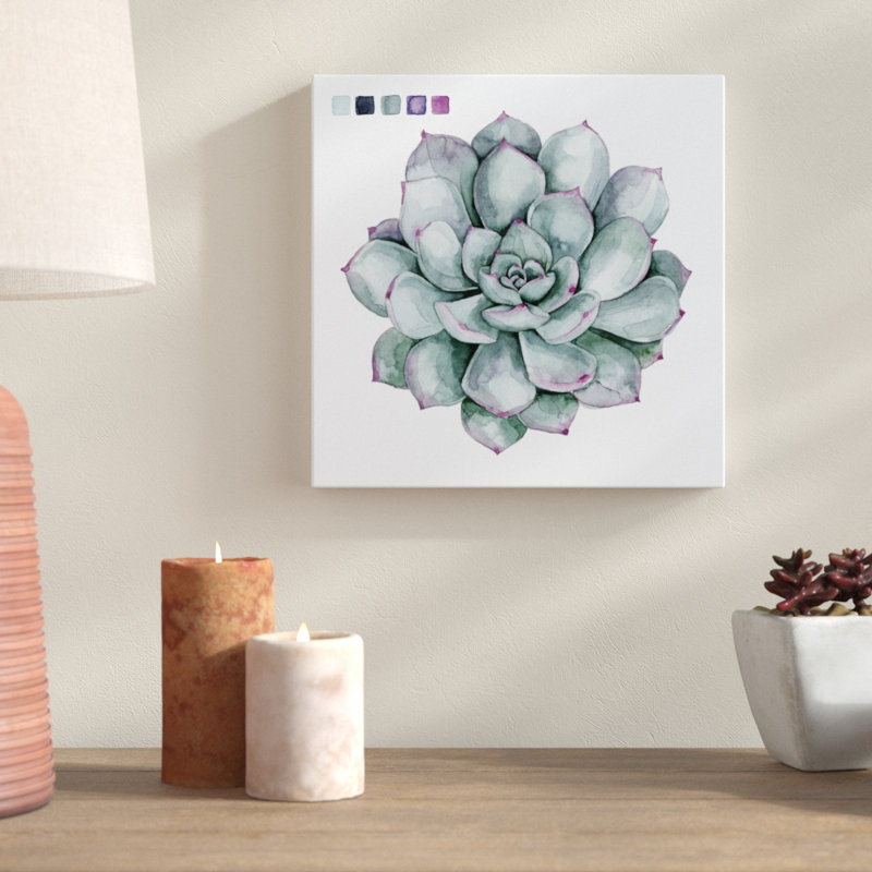 Succulent Swatches II by Grace Popp - Wrapped Canvas Painting, 30cm H x 30cm W
