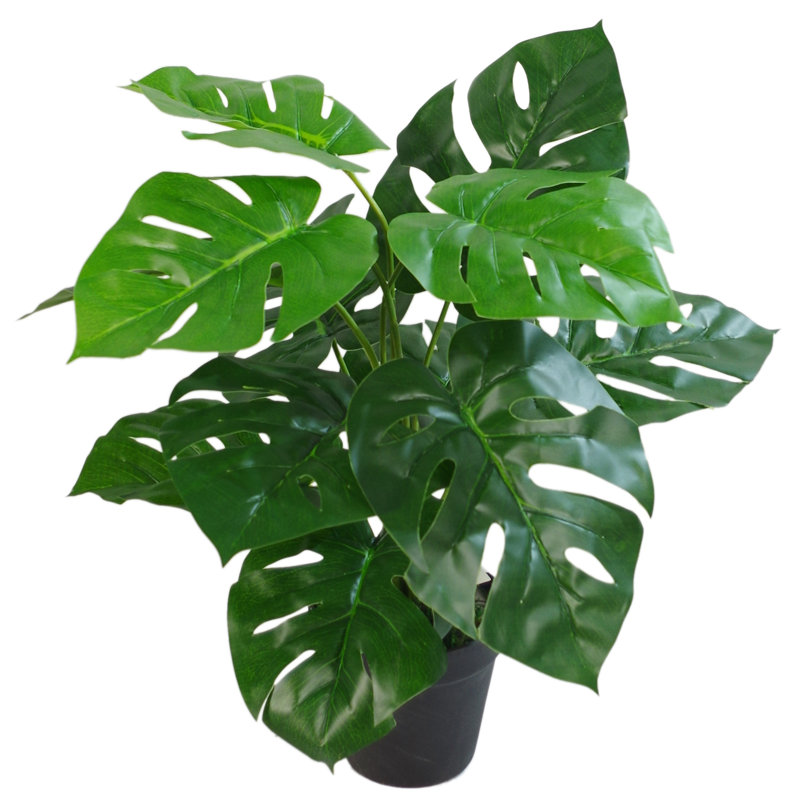 Faux Plant in Pot Liner, 80cm H x 60cm W x 60cm D