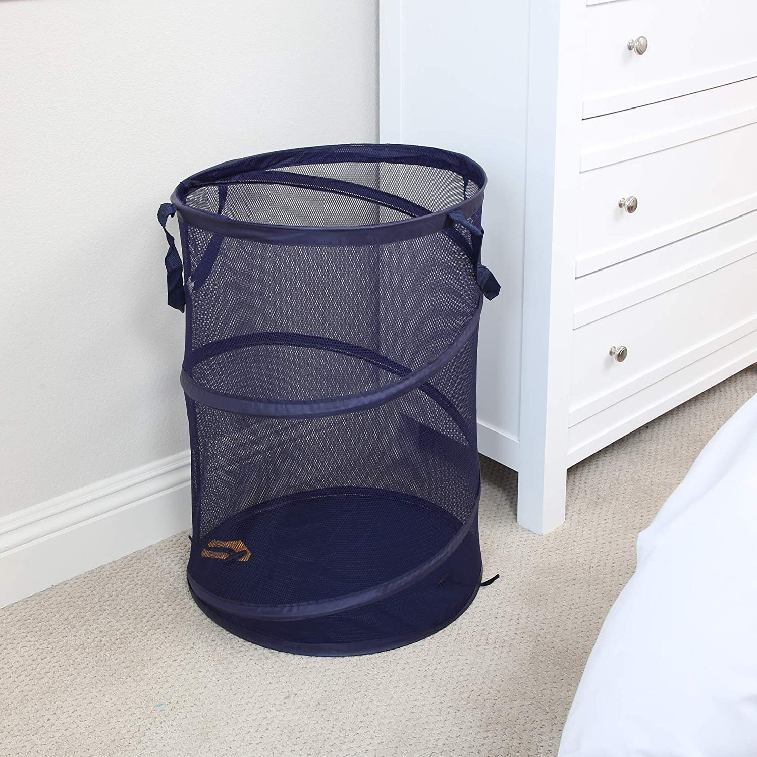 Rebrilliant Collapsible Laundry Basket & Reviews