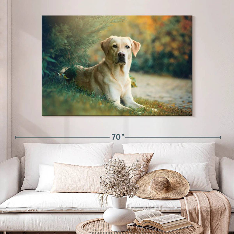 Labrador Retriever Mix, 34" H x 51" W