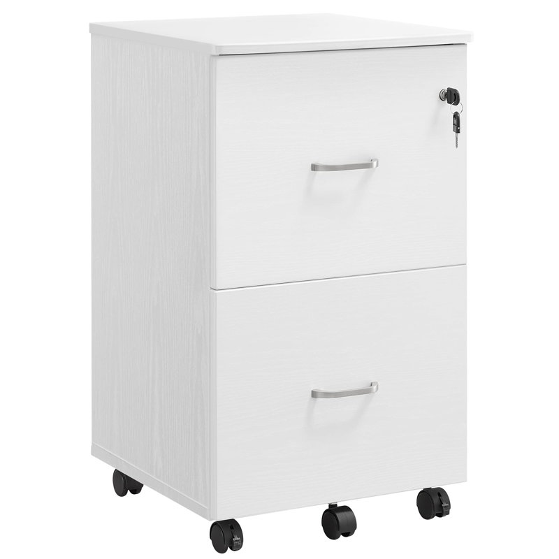 Chandrine 45cm Wide 2 -Drawer File Cabinet