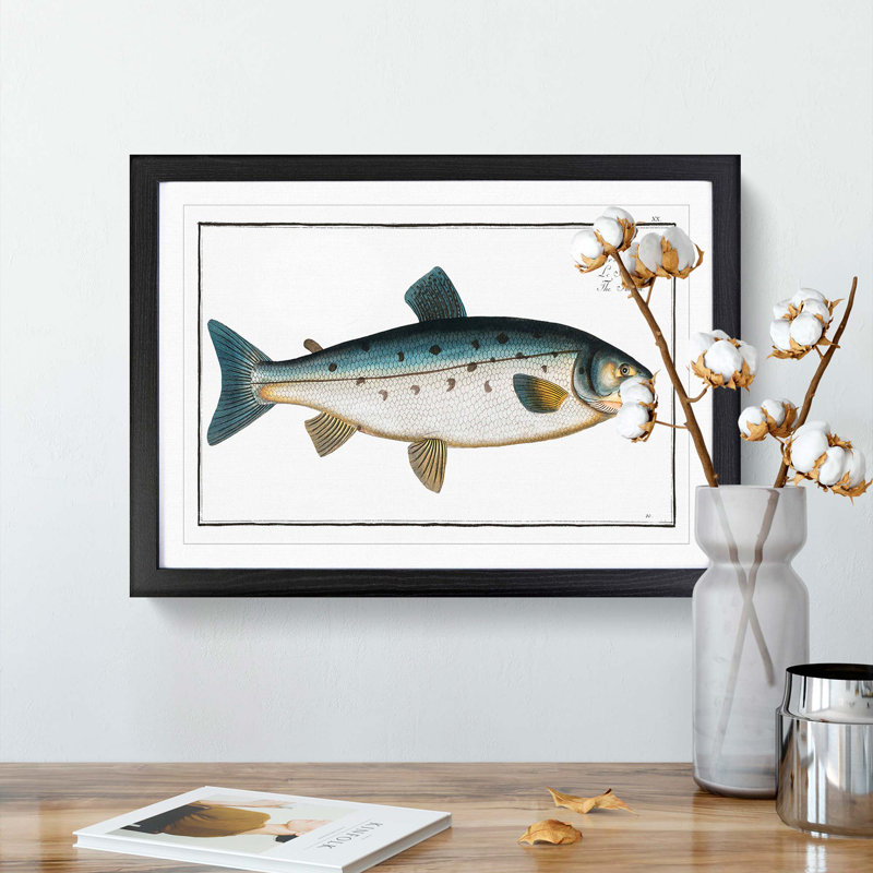 Salmon Fish by M.E. Bloch - Framed Print, 50cm H x 76cm W x 2cm D, Black