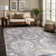 Chartier Shawntale Beige / Gray Indoor/Outdoor Rug