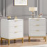 Becnel 19.7'' W Nightstand