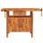 Hassiel 48.8'' W Solid Wood Top Workbench