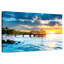 Pavillon de jardin Key West Beach-1637837333