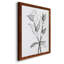 Charcoal Foliage II - Impression de cadre photo sur papier-1359303375-1359303449