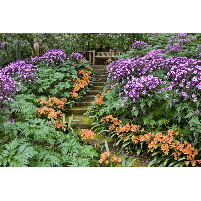 Santa Barbara Garden by David Schrader - Wrapped Canvas Print, 30cm H x 46cm W x 3.8cm D