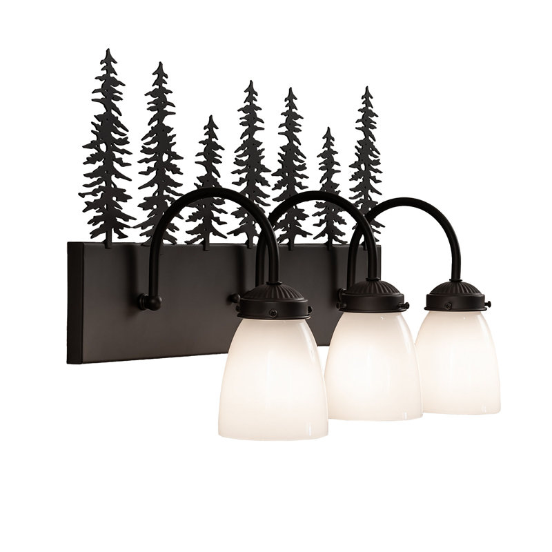 Vanity Light, Oil Rubbed Bronze, 13" H x 24" W x 8" D