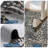 5x7ft Plush Shag Area Rug for Living Room Bedroom Kitchen Space, Washable Carpet with Printed Motif and Non-Slip TPR Backing, Soft Floor Mat for Entryway Home Decor, Charcoal