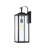 1-Light Outdoor Wall Light with Matte Black Finish-96355657