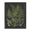 «Botanical Dessin Green Black Design», impression