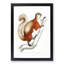 White-Bellied Flying Squirrel Illustration by John Edward Gray - Framed Print-55612685-55612687