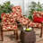 Ascena Outdoor Dining Chair Cushion-1779630186