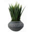 Cachepot
